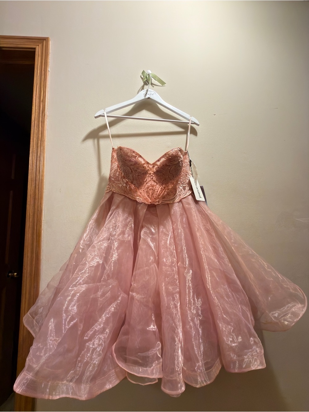 WOMENS' Blush Pink Embroidered Tulle Hoco/Formal/Bridal/Formal Dress